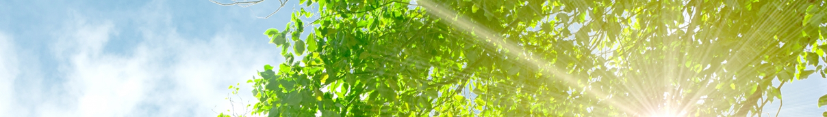 個人情報保護方針