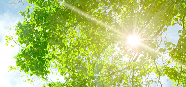 個人情報保護方針